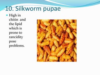 10. Silkworm pupae
 High in
chitin and
the lipid
which is
prone to
rancidity
pose
problems.
 