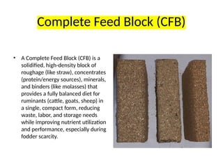 Fodder Block Business feed resoures and fodder bank livestock.pptx