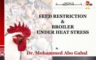 By
Dr. Mohammed Abo Gabal
FEED RESTRICTION
&
BROILER
UNDER HEAT STRESS
 