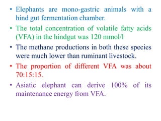 • Elephants are mono-gastric animals with a
hind gut fermentation chamber.
• The total concentration of volatile fatty acids
(VFA) in the hindgut was 120 mmol/l
• The methane productions in both these species
were much lower than ruminant livestock.
• The proportion of different VFA was about
70:15:15.
• Asiatic elephant can derive 100% of its
maintenance energy from VFA.
 