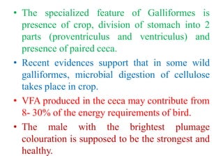 • The specialized feature of Galliformes is
presence of crop, division of stomach into 2
parts (proventriculus and ventriculus) and
presence of paired ceca.
• Recent evidences support that in some wild
galliformes, microbial digestion of cellulose
takes place in crop.
• VFA produced in the ceca may contribute from
8- 30% of the energy requirements of bird.
• The male with the brightest plumage
colouration is supposed to be the strongest and
healthy.
 
