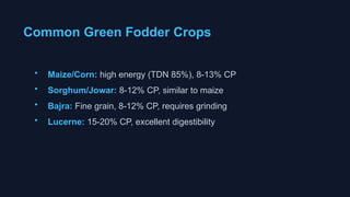 Classification of Feeds and Fodders and their Availability.pptx