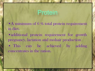 Hays and straws- Oat hay, Paddy hay, MaizeEnergy feeds- Corn, Oats, Barley, Milo & wheat & byproducts