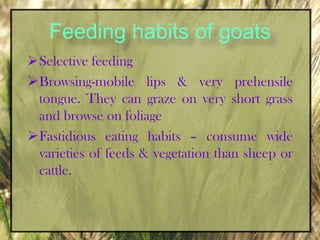Feeding habits of goatsSelective feeding