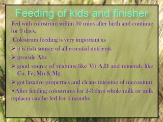 Pregnancy- during last months of gestation-220g / day/doeFormulation of concentrate mixtureWheat bran – 1 partGrain (maize , barley) – 2 partsOil cake (linseed cake, GNC) – 1 partMineral mix – 2%Salt – 0.5% 