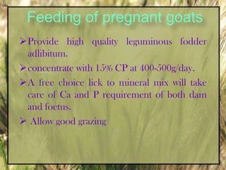  It is 3-4 % of body weight for dairy type