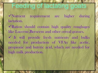 ProteinA minimum of 6 % total protein requirement in diet. additional protein requirement for growth pregnancy, lactation and mohair production  This can be achieved by adding concentrates in the ration.  