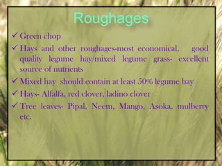Fastidious eating habits – consume wide varieties of feeds & vegetation than sheep or cattle.Ability & distinguish between various tastes