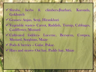 Consume certain species at definite stage & reject them at other stage
