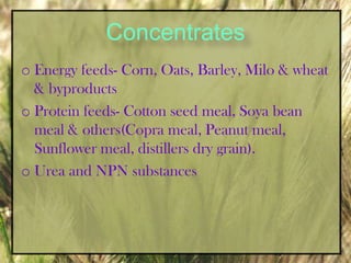 Rumen is not developed at birth but young kids start picking at hay or grass at 2-3 weeks of age and by 3-4 months the rumen fully functional.RoughagesGreen chop