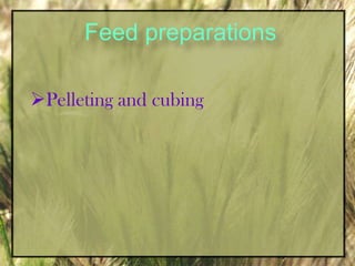 Mixed hay  should contain at least 50% legume hay