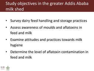Feed storage practices and attitudes towards milk hygiene in the Greater Addis Ababa milk shed