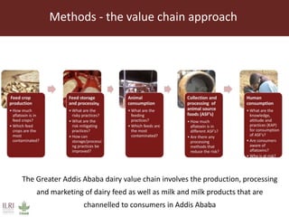 Feed storage practices and attitudes towards milk hygiene in the Greater Addis Ababa milk shed