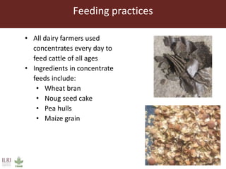 Feed storage practices and awareness of aflatoxins in the Greater Addis Ababa milk shed
