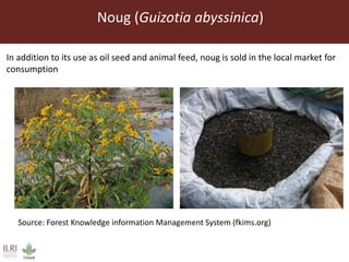 Feed storage practices and awareness of aflatoxins in the Greater Addis Ababa milk shed