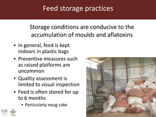 Feed storage practices and awareness of aflatoxins in the Greater Addis Ababa milk shed