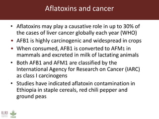 Feed storage practices and awareness of aflatoxins in the Greater Addis Ababa milk shed