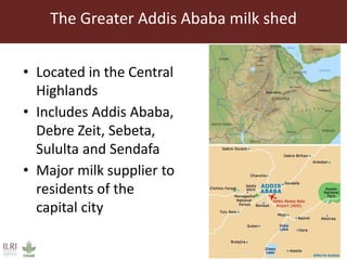 Feed storage practices and awareness of aflatoxins in the Greater Addis Ababa milk shed