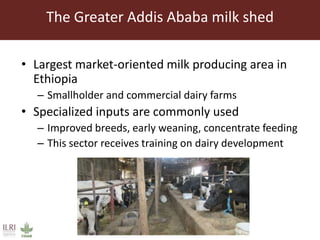 Feed storage practices and awareness of aflatoxins in the Greater Addis Ababa milk shed