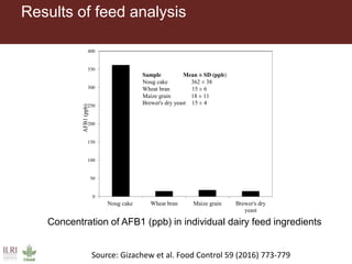 Results of feed analysis
0
50
100
150
200
250
300
350
400
Noug cake Wheat bran Maize grain Brewer's dry
yeast
Sample Mean ± SD (ppb)
Noug cake 362 ± 38
Wheat bran 15 ± 6
Maize grain 18 ± 11
Brewer's dry yeast 15 ± 4
AFB1(ppb)
Concentration of AFB1 (ppb) in individual dairy feed ingredients
Source: Gizachew et al. Food Control 59 (2016) 773-779
 