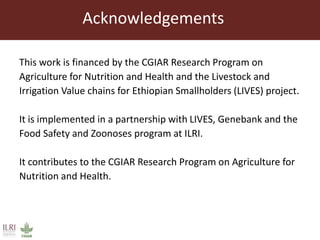 This work is financed by the CGIAR Research Program on
Agriculture for Nutrition and Health and the Livestock and
Irrigation Value chains for Ethiopian Smallholders (LIVES) project.
It is implemented in a partnership with LIVES, Genebank and the
Food Safety and Zoonoses program at ILRI.
It contributes to the CGIAR Research Program on Agriculture for
Nutrition and Health.
Acknowledgements
 