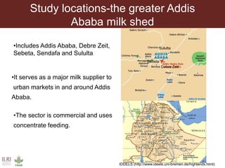Study locations-the greater Addis
Ababa milk shed
•Includes Addis Ababa, Debre Zeit,
Sebeta, Sendafa and Sululta
•It serves as a major milk supplier to
urban markets in and around Addis
Ababa.
•The sector is commercial and uses
concentrate feeding.
Sululta
Sebeta
Debre Zeit
IDDELS (http://www.ideels.uni-bremen.de/highlands.html)
 