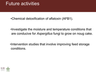 Feed storage practices and aflatoxin contamination of dairy feeds in the Greater Addis Ababa milk shed, Ethiopia