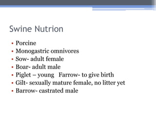 Swine Nutrion
•   Porcine
•   Monogastric omnivores
•   Sow- adult female
•   Boar- adult male
•   Piglet – young Farrow- to give birth
•   Gilt- sexually mature female, no litter yet
•   Barrow- castrated male
 