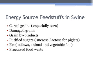 Energy Source Feedstuffs in Swine
•   Cereal grains ( especially corn)
•   Damaged grains
•   Grain by-products
•   Purified sugars ( sucrose, lactose for piglets)
•   Fat ( tallows, animal and vegetable fats)
•   Processed food waste
 