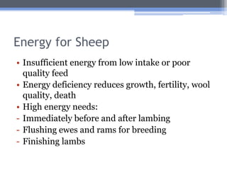 Energy for Sheep
• Insufficient energy from low intake or poor
  quality feed
• Energy deficiency reduces growth, fertility, wool
  quality, death
• High energy needs:
- Immediately before and after lambing
- Flushing ewes and rams for breeding
- Finishing lambs
 