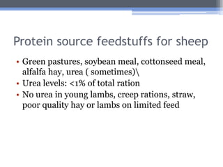 Protein source feedstuffs for sheep
• Green pastures, soybean meal, cottonseed meal,
  alfalfa hay, urea ( sometimes)
• Urea levels: <1% of total ration
• No urea in young lambs, creep rations, straw,
  poor quality hay or lambs on limited feed
 