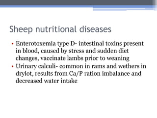 Sheep nutritional diseases
• Enterotoxemia type D- intestinal toxins present
  in blood, caused by stress and sudden diet
  changes, vaccinate lambs prior to weaning
• Urinary calculi- common in rams and wethers in
  drylot, results from Ca/P ration imbalance and
  decreased water intake
 