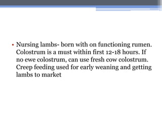 • Nursing lambs- born with on functioning rumen.
  Colostrum is a must within first 12-18 hours. If
  no ewe colostrum, can use fresh cow colostrum.
  Creep feeding used for early weaning and getting
  lambs to market
 