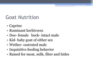 Goat Nutrition
•   Caprine
•   Ruminant herbivores
•   Doe- female buck- intact male
•   Kid- baby goat of either sex
•   Wether- castrated male
•   Inquisitive feeding behavior
•   Raised for meat, milk, fiber and hides
 