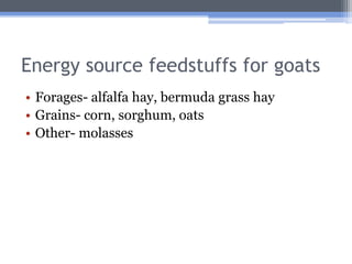 Energy source feedstuffs for goats
• Forages- alfalfa hay, bermuda grass hay
• Grains- corn, sorghum, oats
• Other- molasses
 