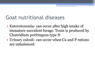 Goat nutritional diseases
• Enterotoxemia- can occur after high intake of
  immature succulent forage. Toxin is produced by
  Clostridium perfringens type D
• Urinary calculi- can occur when Ca and P rations
  are unbalanced
 