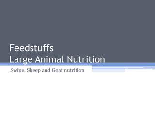 Feedstuffs
Large Animal Nutrition
Swine, Sheep and Goat nutrition
 