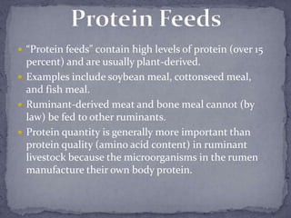  “Protein feeds" contain high levels of protein (over 15
  percent) and are usually plant-derived.
 Examples include soybean meal, cottonseed meal,
  and fish meal.
 Ruminant-derived meat and bone meal cannot (by
  law) be fed to other ruminants.
 Protein quantity is generally more important than
  protein quality (amino acid content) in ruminant
  livestock because the microorganisms in the rumen
  manufacture their own body protein.
 