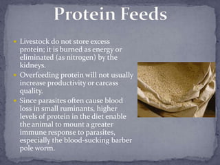  Livestock do not store excess
  protein; it is burned as energy or
  eliminated (as nitrogen) by the
  kidneys.
 Overfe...
