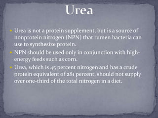  Urea is not a protein supplement, but is a source of
  nonprotein nitrogen (NPN) that rumen bacteria can
  use to synthesize protein.
 NPN should be used only in conjunction with high-
  energy feeds such as corn.
 Urea, which is 45 percent nitrogen and has a crude
  protein equivalent of 281 percent, should not supply
  over one-third of the total nitrogen in a diet.
 