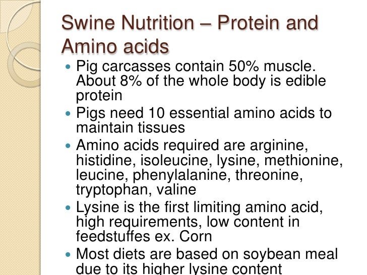 Feedstuffs Swine Sheep Powerpoint