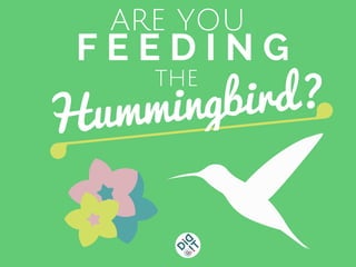 F E E D I N G
Hummingbird?
ARE YOU
THE
 
