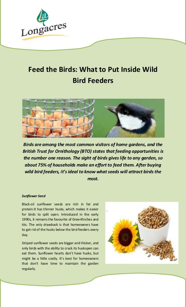 Feed The Birds What To Put Inside Wild Bird Feeders
