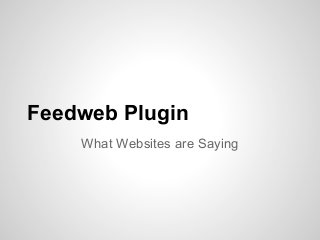 Feedweb Plugin
What Websites are Saying
 