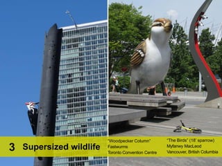 “Urban Hydrology” (carved granite)
Fernanda D'Agostino
6th Street Transit Mall, Portland, Oregon
Diatoms on the swales3
 