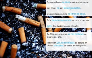 Demoran hasta 10 años en descomponerse.

Los filtros no son Biodegradables.

Una colilla contamina 50 litros de agua.

Es la basura más común en todo el mundo.

59% de ellas termina en el suelo.


En Chile se consumen 14 mil millones de
cigarro por año.

Producen 460,18 toneladas de basura en
Chile = 6 millones de pesos en transportes.
 