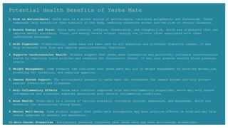 1. Rich in Antioxidants: Yerba mate is a potent source of antioxidants, including polyphenols and flavonoids. These
compounds help neutralize free radicals in the body, reducing oxidative stress and the risk of chronic diseases.
2. Boosts Energy and Focus: Yerba mate contains caffeine, theobromine, and theophylline, which are stimulants that can
improve mental alertness, focus, and energy levels without causing the jitters often associated with other
caffeinated beverages.
3. Aids Digestion: Traditionally, yerba mate has been used to aid digestion and alleviate digestive issues. It may
help stimulate bile flow and improve gastrointestinal functions.
4. Supports Cardiovascular Health: Studies suggest that yerba mate consumption may positively influence cardiovascular
health by improving lipid profiles and reducing LDL cholesterol levels. It may also promote healthy blood pressure
levels.
5. Weight Management: Some research has indicated that yerba mate may aid in weight management by boosting metabolism,
promoting fat oxidation, and reducing appetite.
6. Immune System Support: The antioxidants present in yerba mate can strengthen the immune system and help protect
against infections and illnesses.
7. Anti-Inflammatory Effects: Yerba mate contains compounds with anti-inflammatory properties, which may help reduce
inflammation and alleviate symptoms associated with certain inflammatory conditions.
8. Bone Health: Yerba mate is a source of various minerals, including calcium, magnesium, and manganese, which are
essential for maintaining strong bones.
9. Mental Well-being: Some studies suggest that yerba mate consumption may have positive effects on mood and may help
reduce symptoms of anxiety and depression.
10.Anti-Cancer Properties: Preliminary research indicates that yerba mate may have anti-cancer properties,
particularly in relation to certain types of cancer like colon, liver, and lung cancer.
Potential Health Benefits of Yerba Mate
 