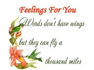 Feelings For You 