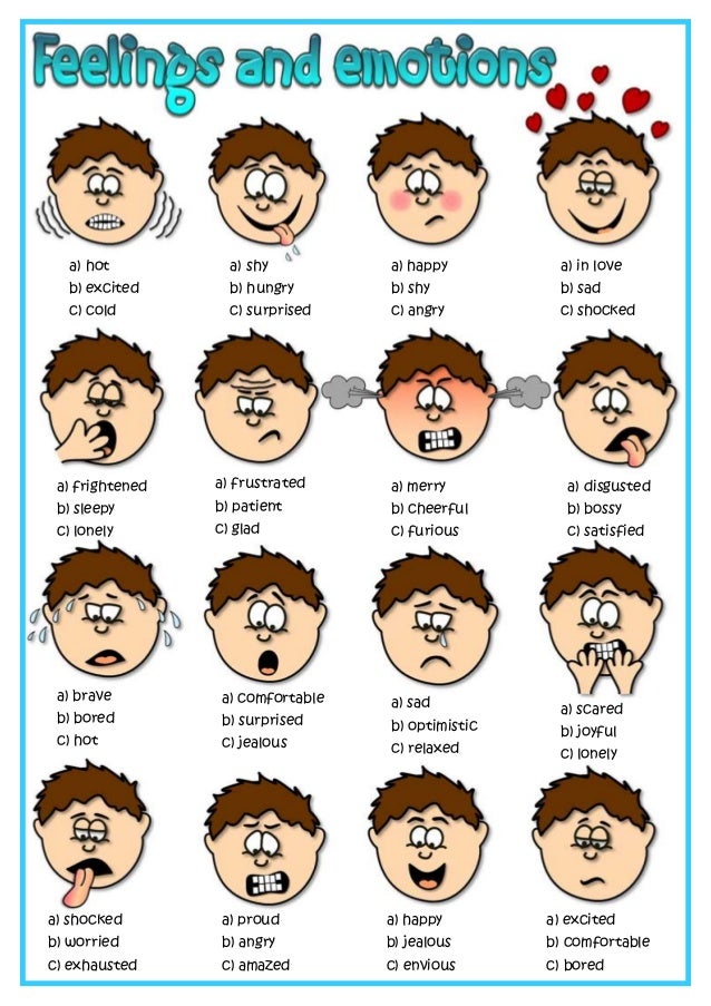 Feelings and emotions