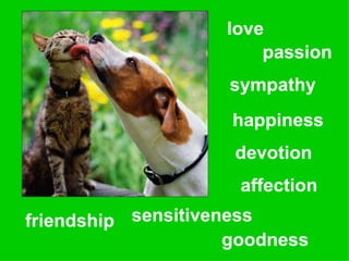 love goodness happiness friendship affection sensitiveness devotion passion sympathy 